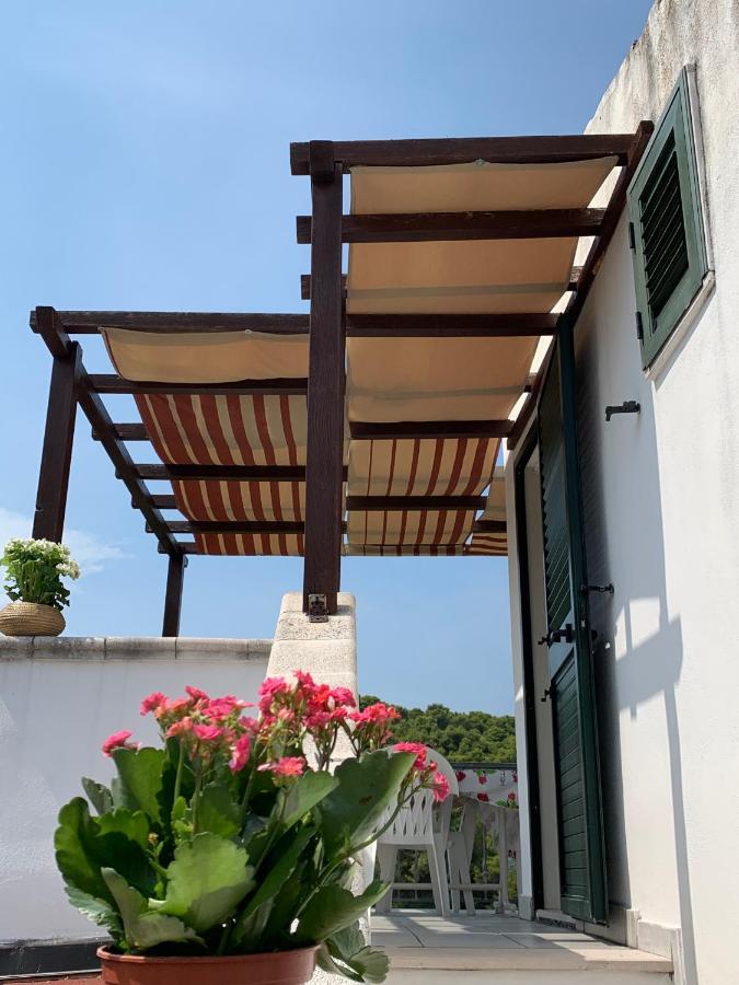 Casa Del Gelso Apartment San Menaio Bagian luar foto